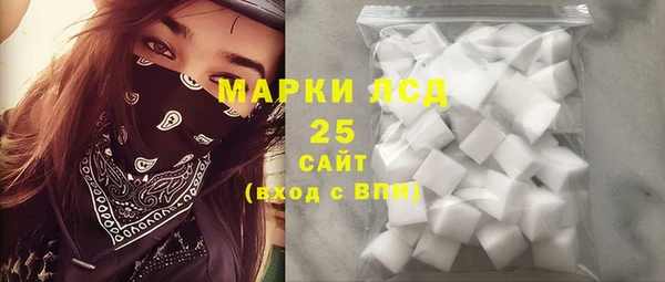 a pvp Новозыбков