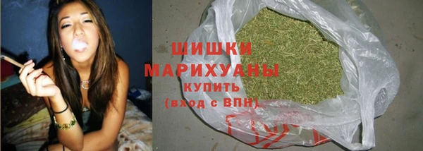 индика Нефтекумск