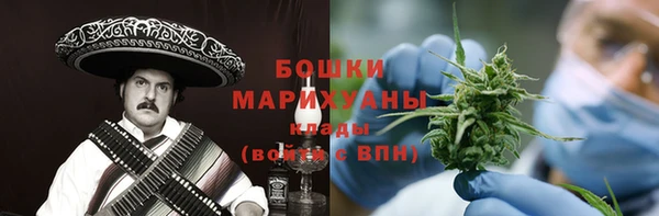 PSILOCYBIN Гусиноозёрск