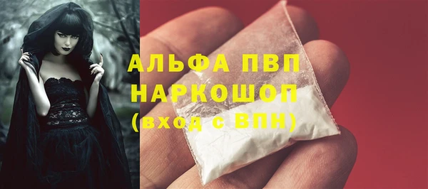 прущие крисы Новодвинск