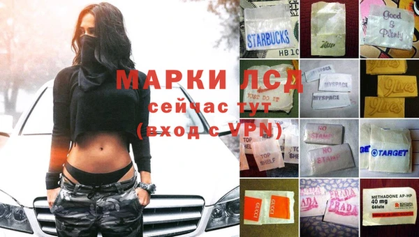 a pvp Новозыбков