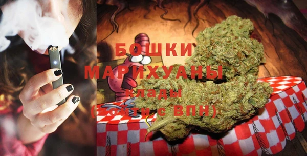 индика Нефтекумск