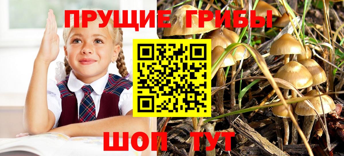 цены наркотик  Вход с VPN  Ступино  Галлюциногенные грибы Cubensis 